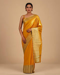 Sunlit Drape Saree - Front view on model - Urbanstyra